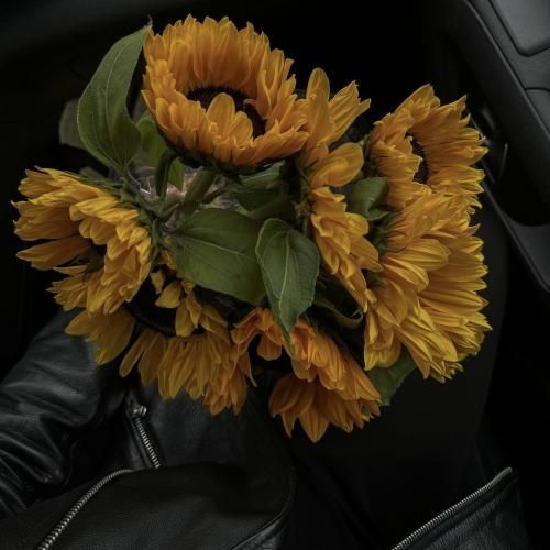 بیبی من داره میگیره وضوش خوب میگیره با اصولش