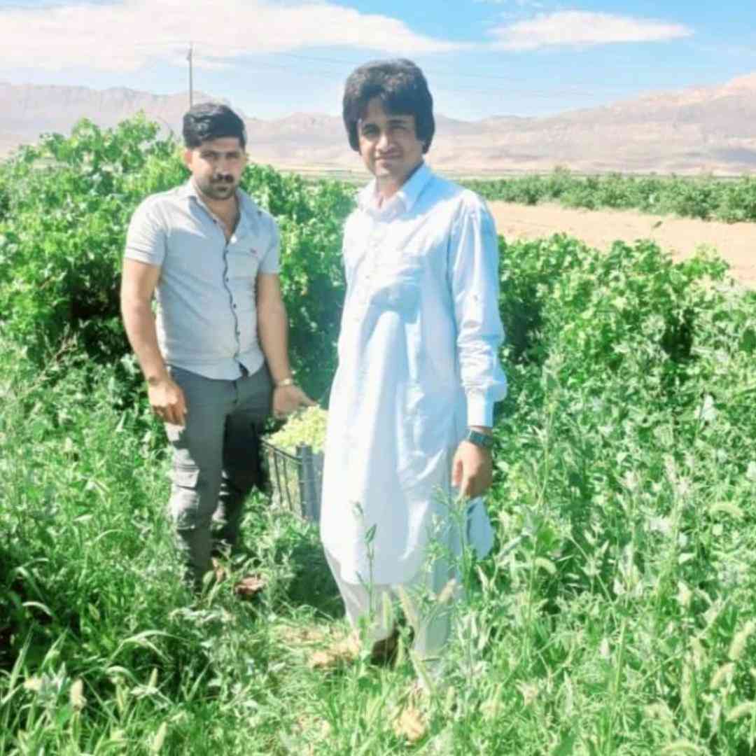 فرزاد سالاری صنم بی چه نداته منی جوابا