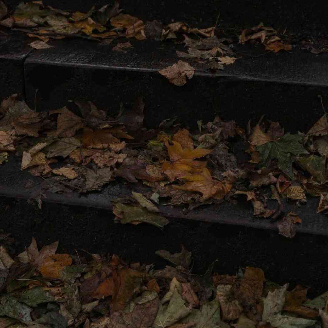 گذشته رو نمیشه برگردوند ولی هرجور شده برگرد