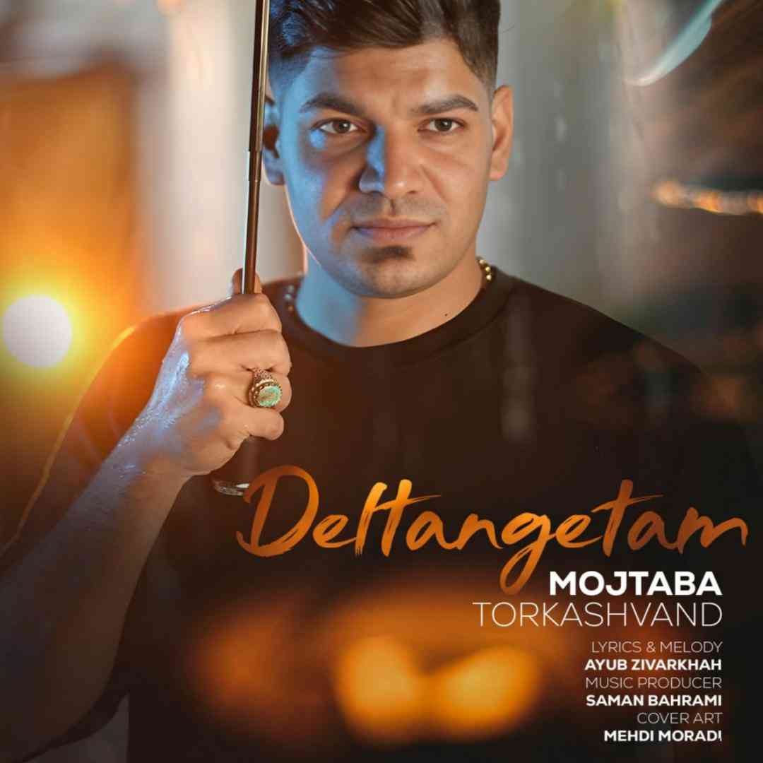 مجتبی ترکاشوند دلتنگتم