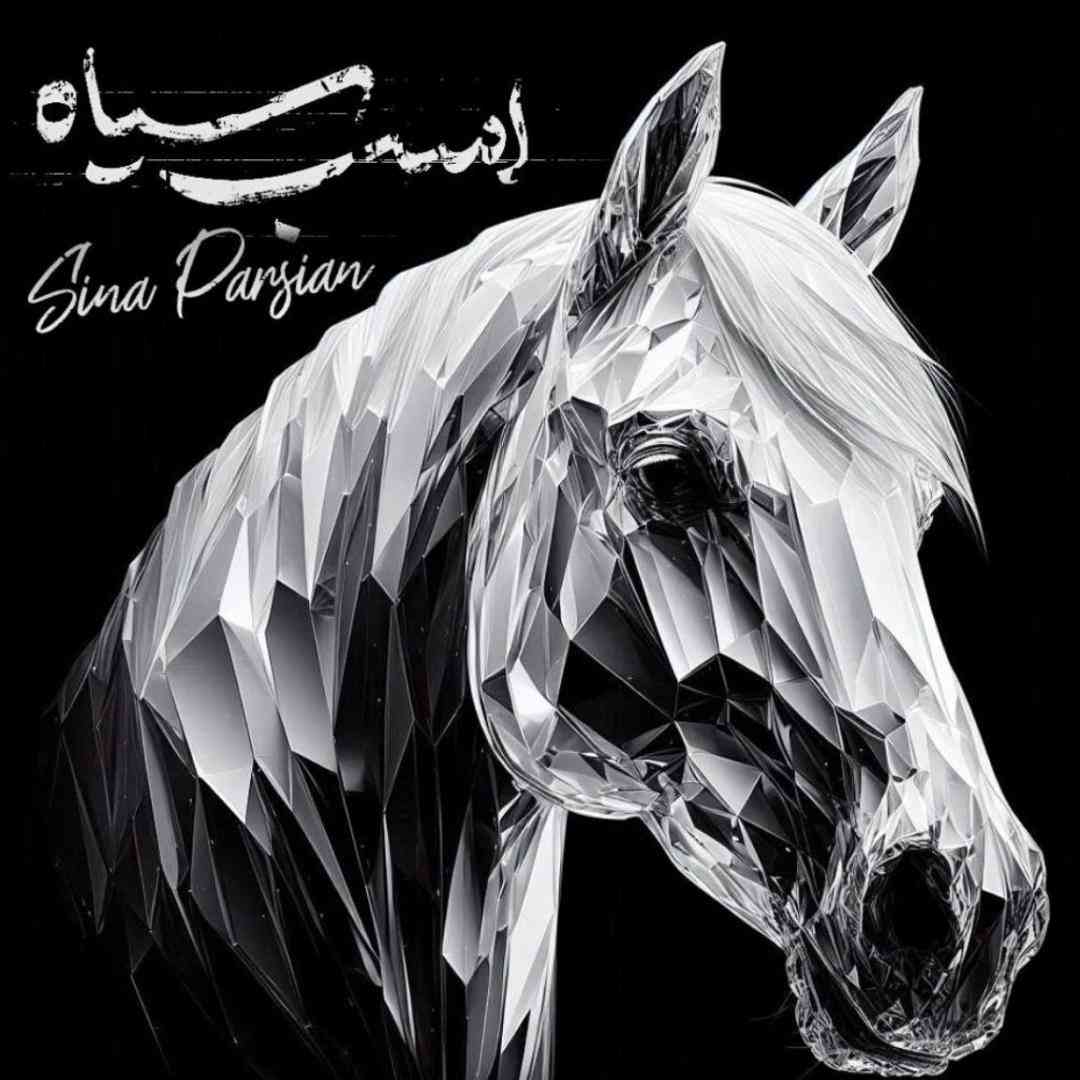سینا پارسیان اسب سیاه