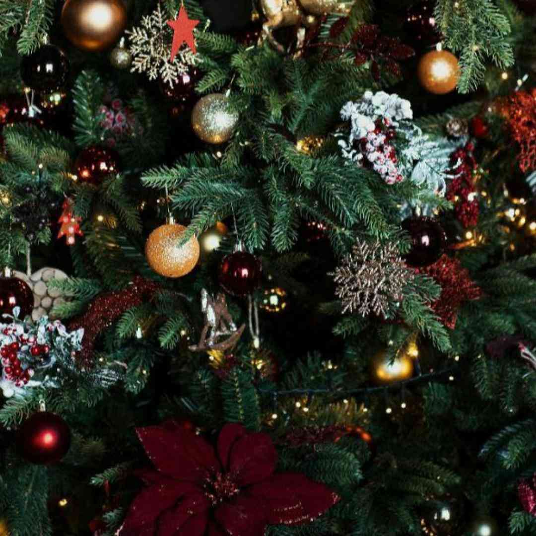  برگرد گل قشنگم برگرد سرده دوریت