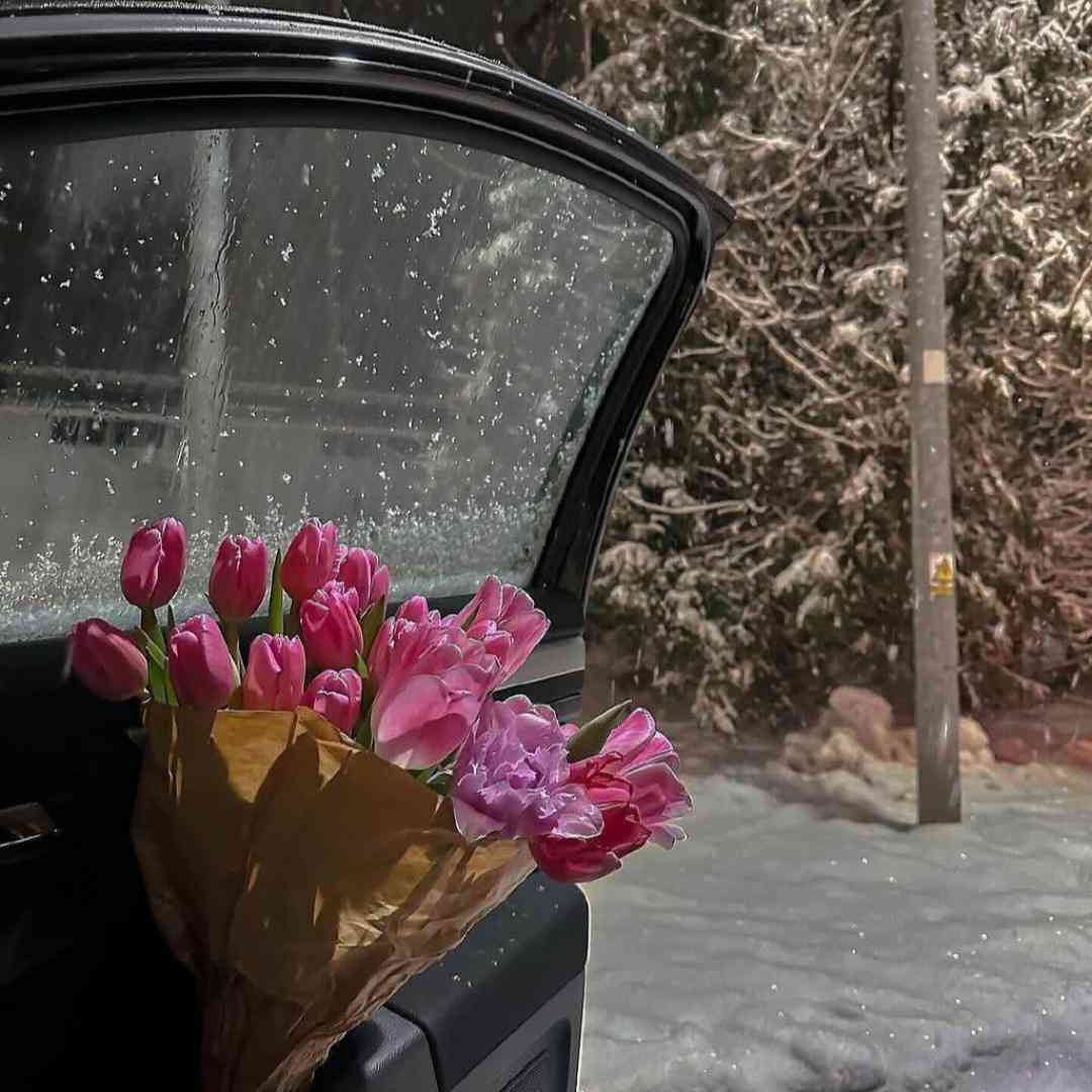  کی مثل تو منو بلده هرکی ادعا کرد تهش دیدم