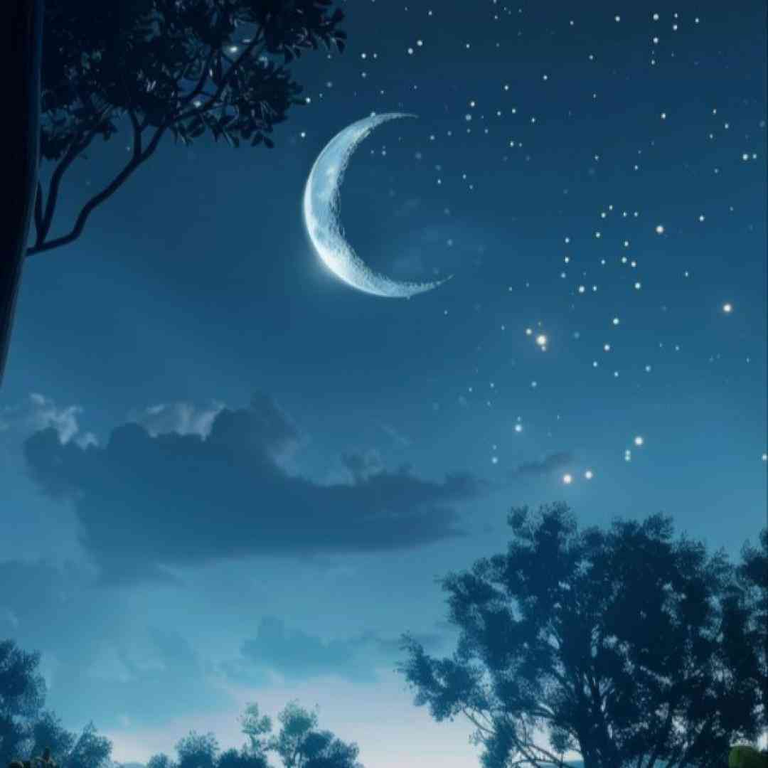  به هم قول دادیم بریم این راهو تا تهش