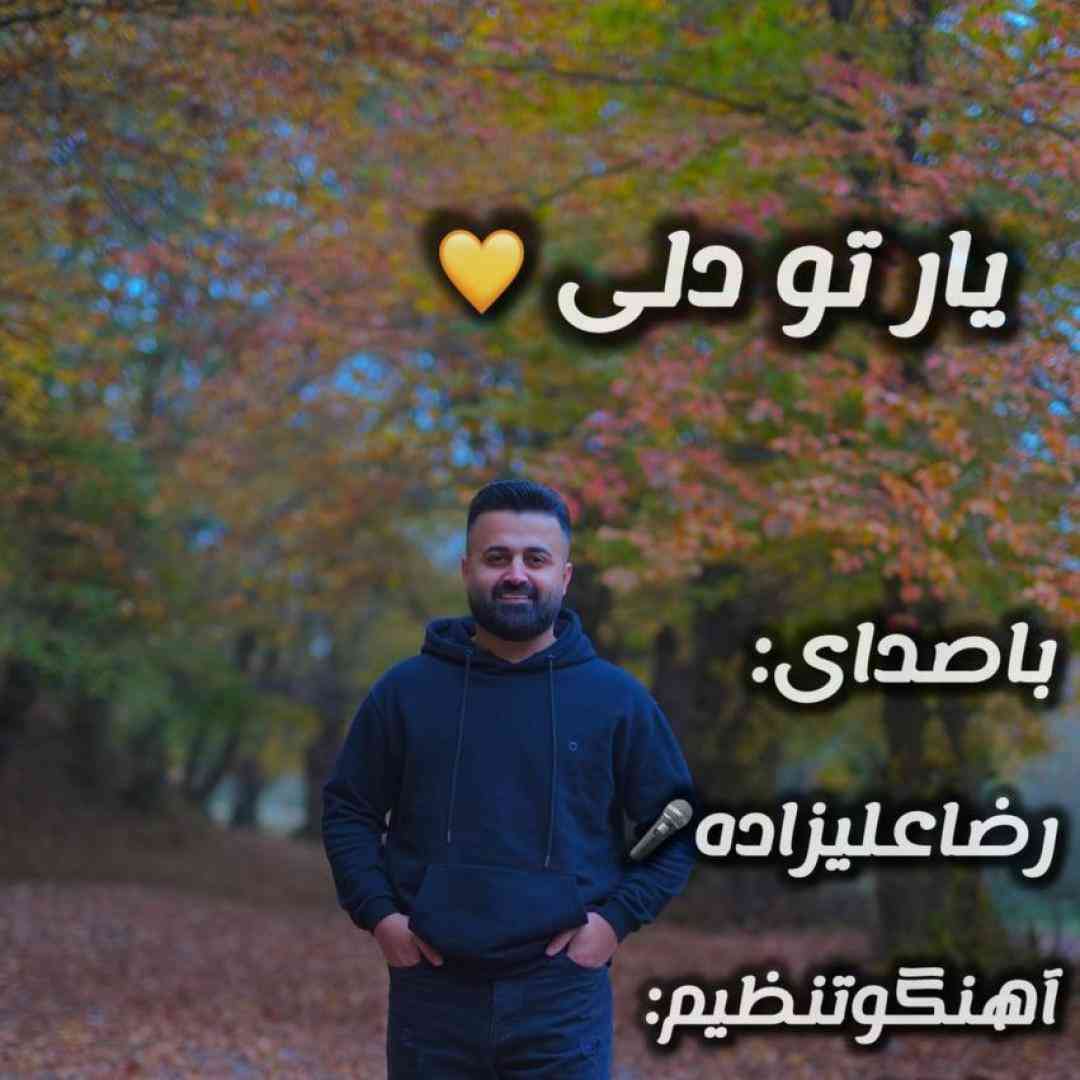 رضا علیزاده یار تو دلی