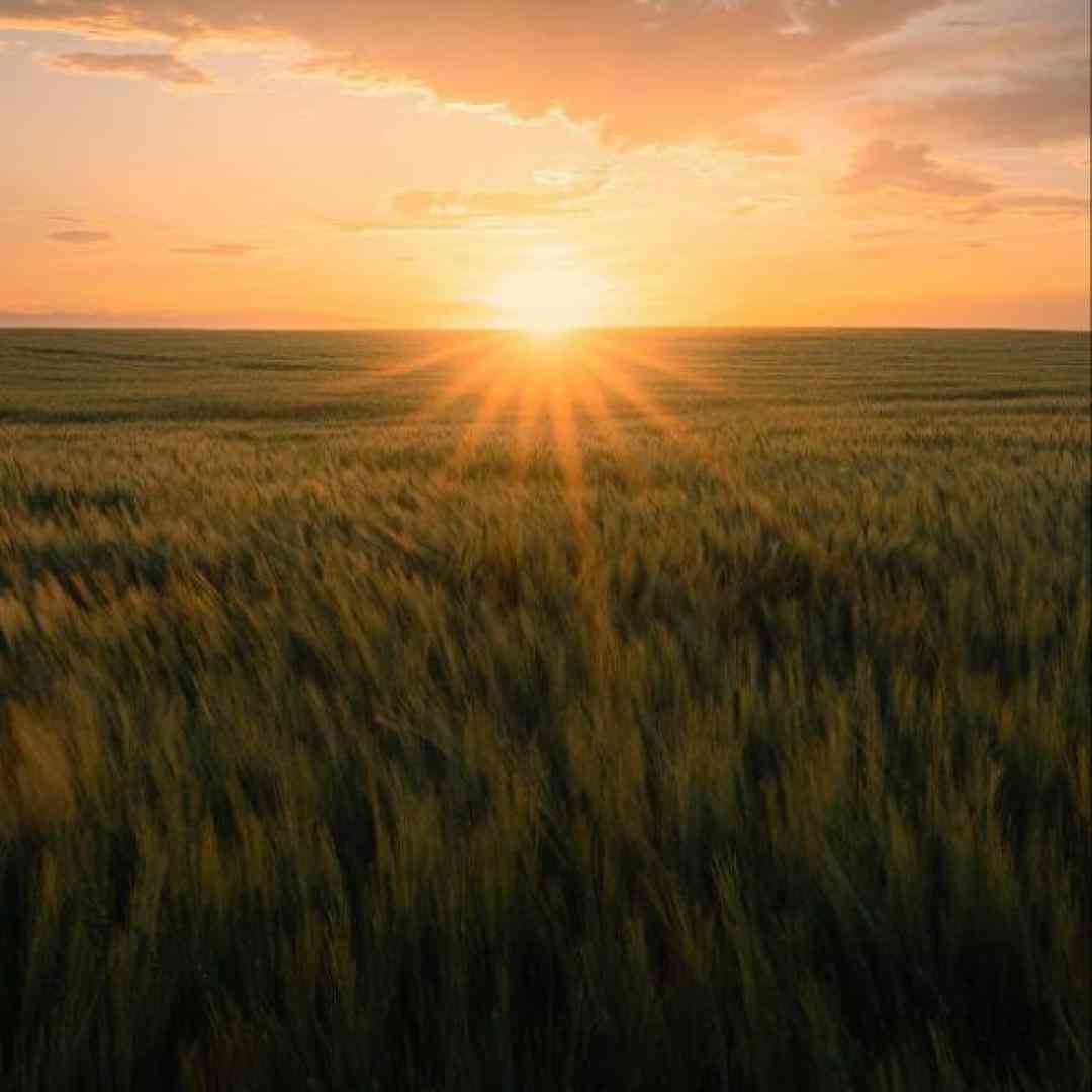  هوچی گری کارته تو آخر خطی ملتفت دایره (میکس اینستایی)