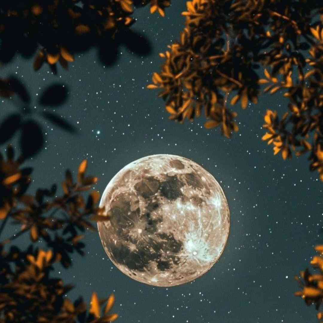 فاطمه سویتی کیسی بوجو