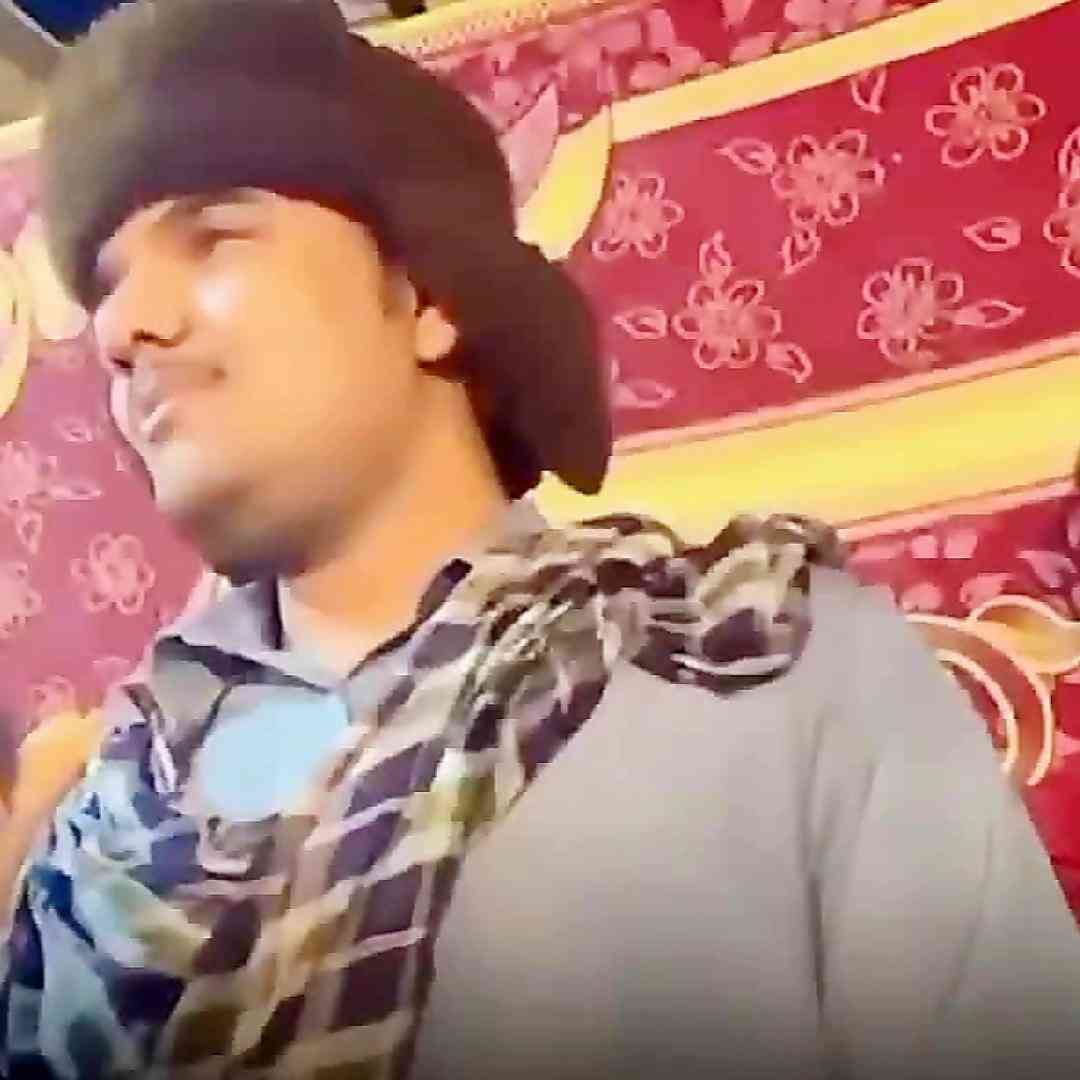 پوریا منصوری پل و گلاب