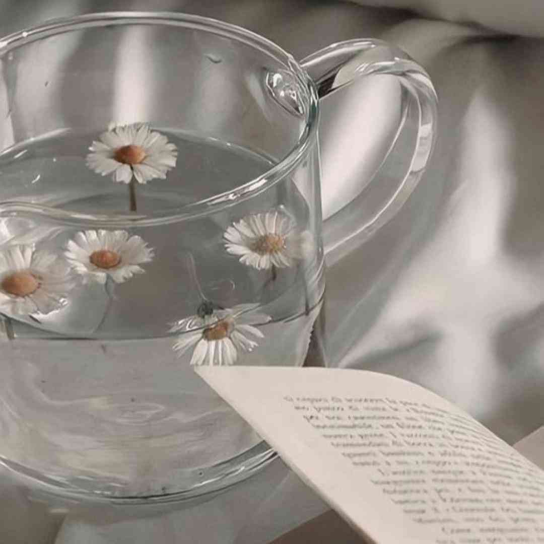 دشی وقتمو صرفه یه عنتر کردم چرا باید بگیرمت