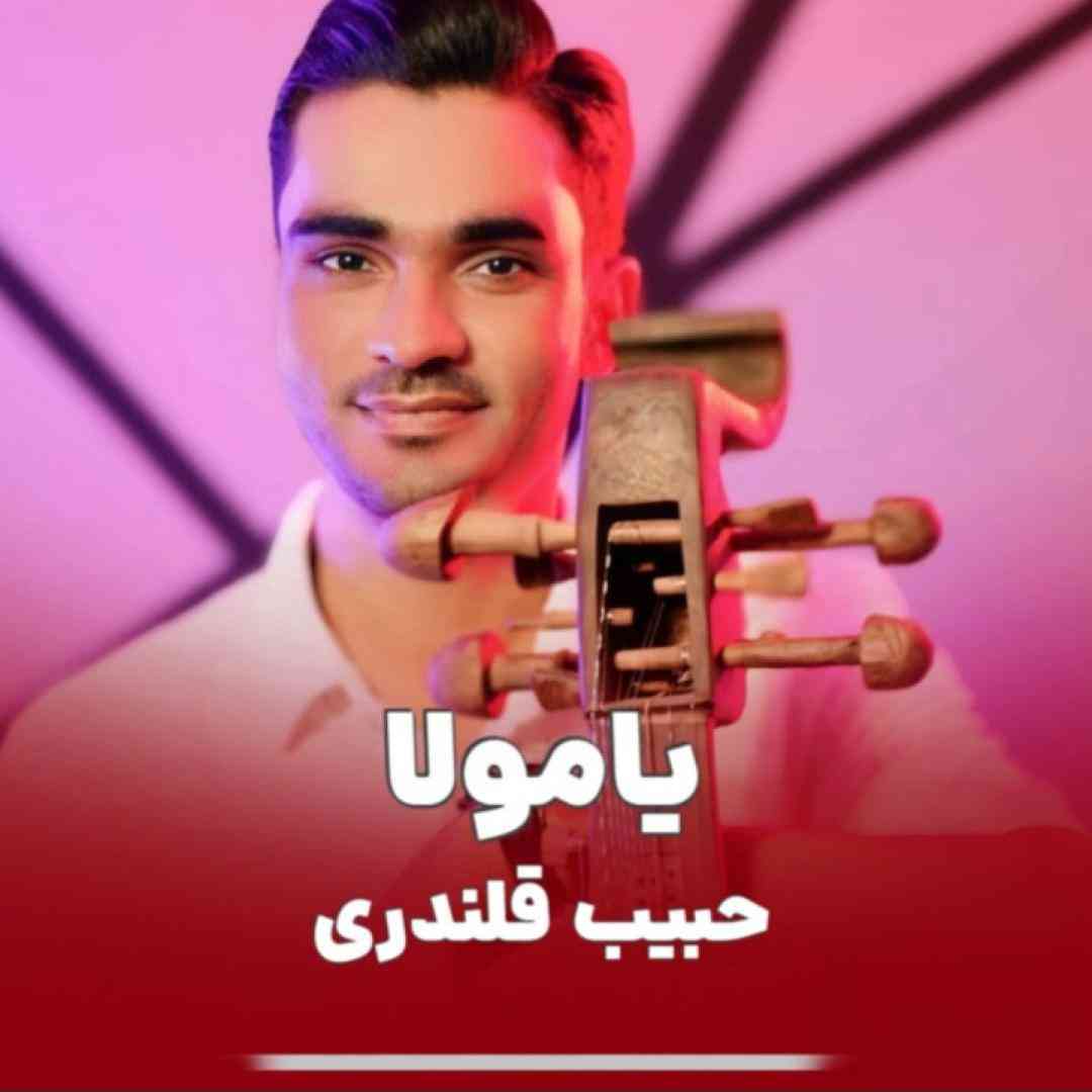 حبیب قلندری یامولا