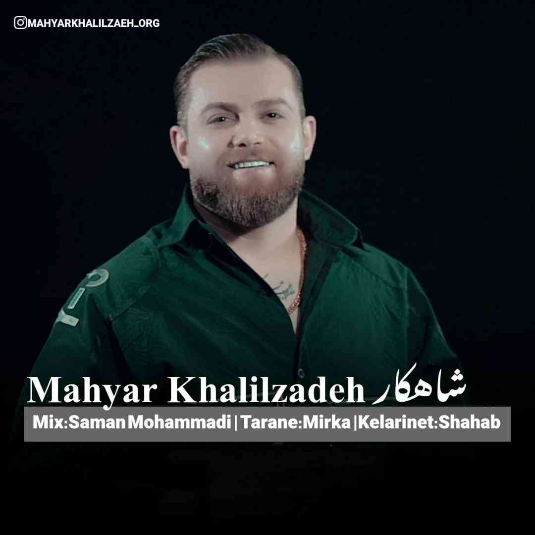 مهیار خلیل زاده شاهکار