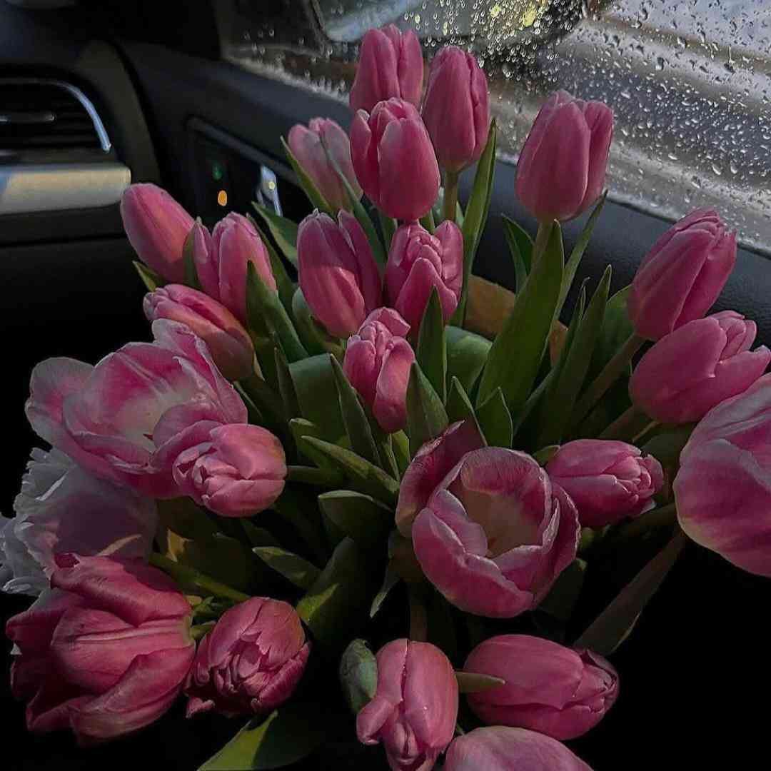  حس من به تو ادامه داره بعده تو با صدای زن - هوش مصنوعی