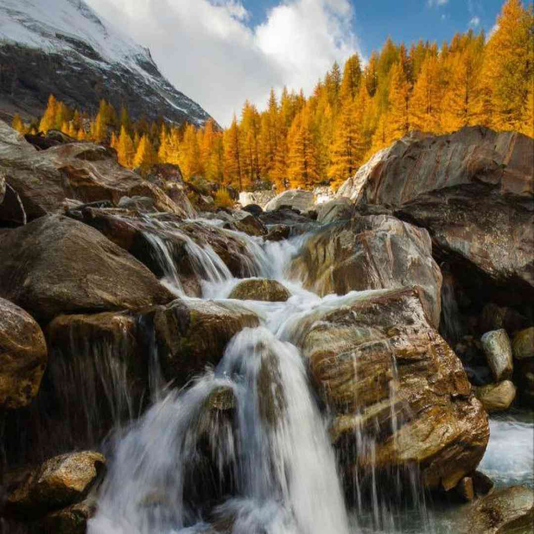  تویی که با من هم صدایی تو رفیقی تو (میکس اینستایی)