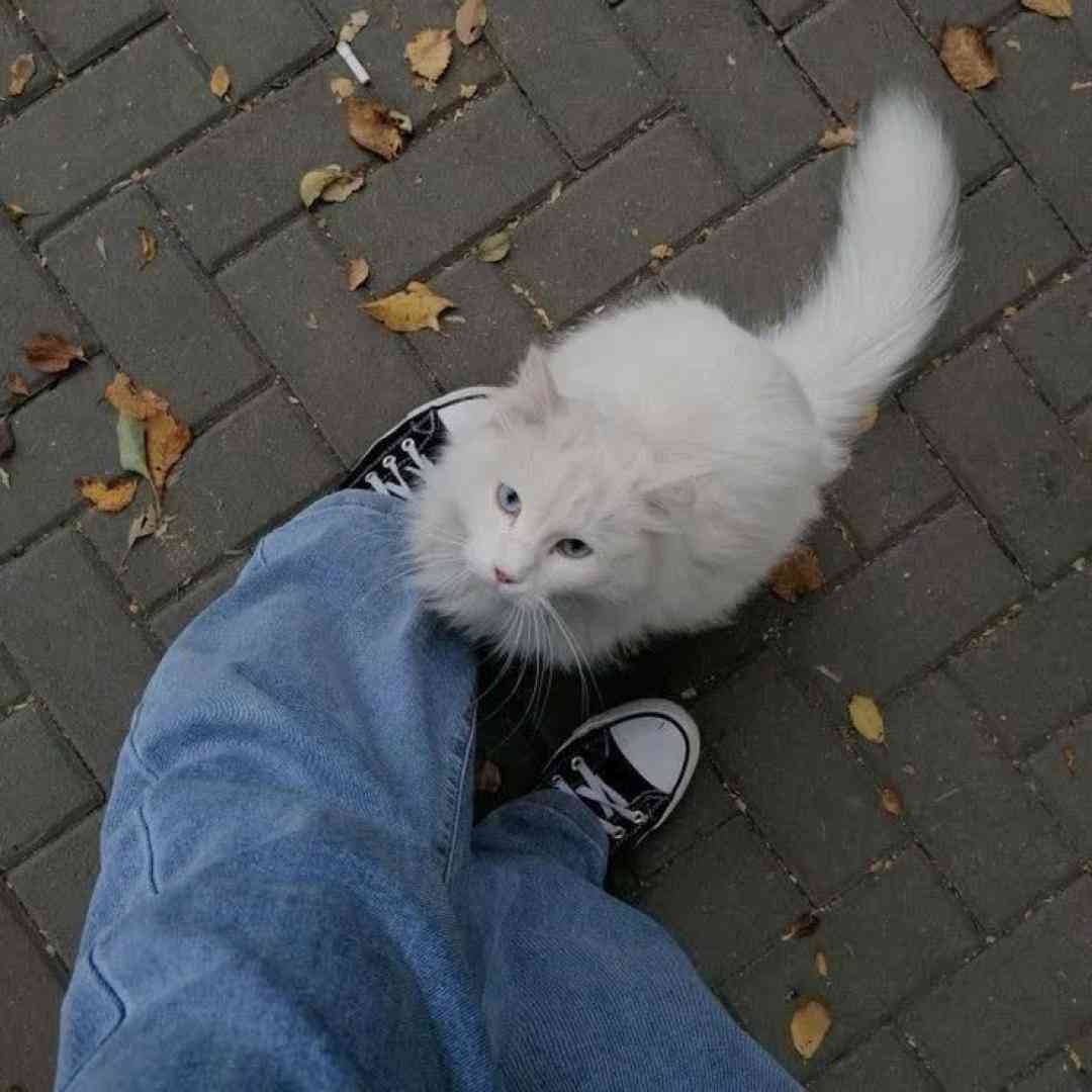  پلاک ۲۴ رسید به ایذه