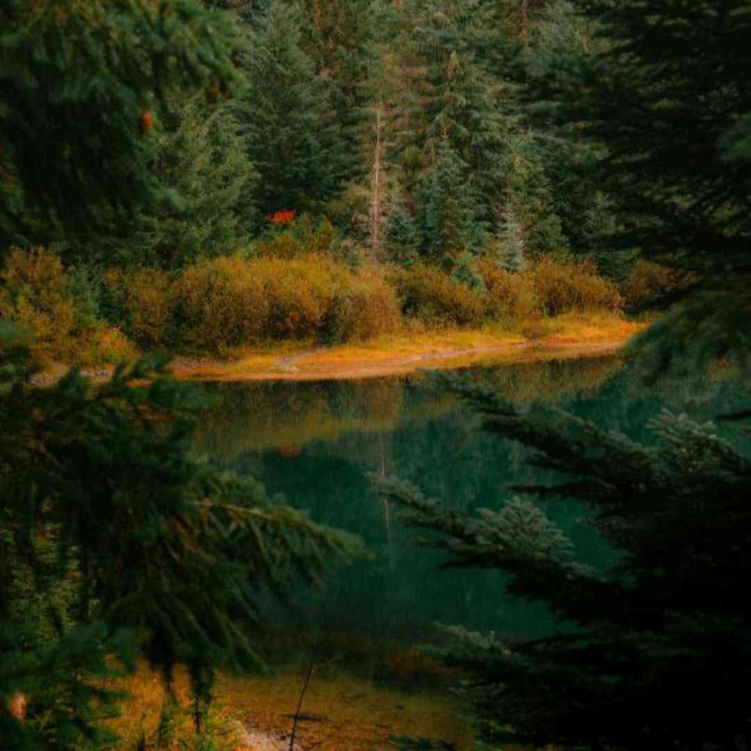 فاطمه عطایی نرگس بانو