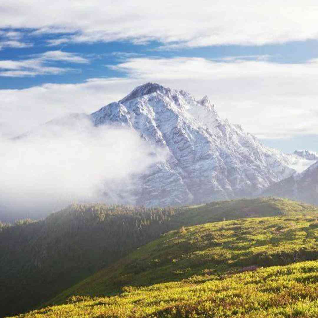  یه بچه سر به زیر حرف نمیزدمو فکر میکردم بیشتر (میکس اینستایی)
