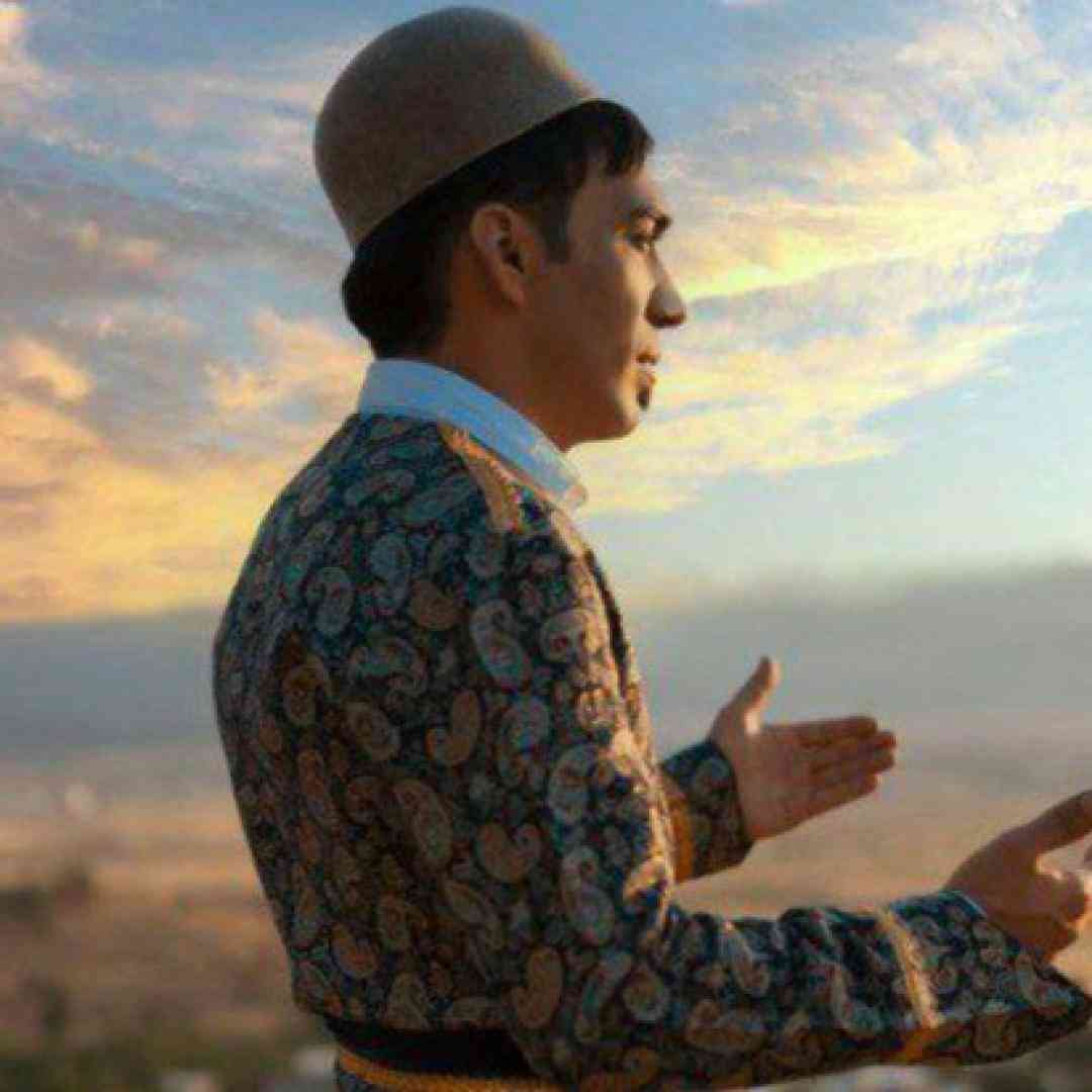 هومن پناهی تیام