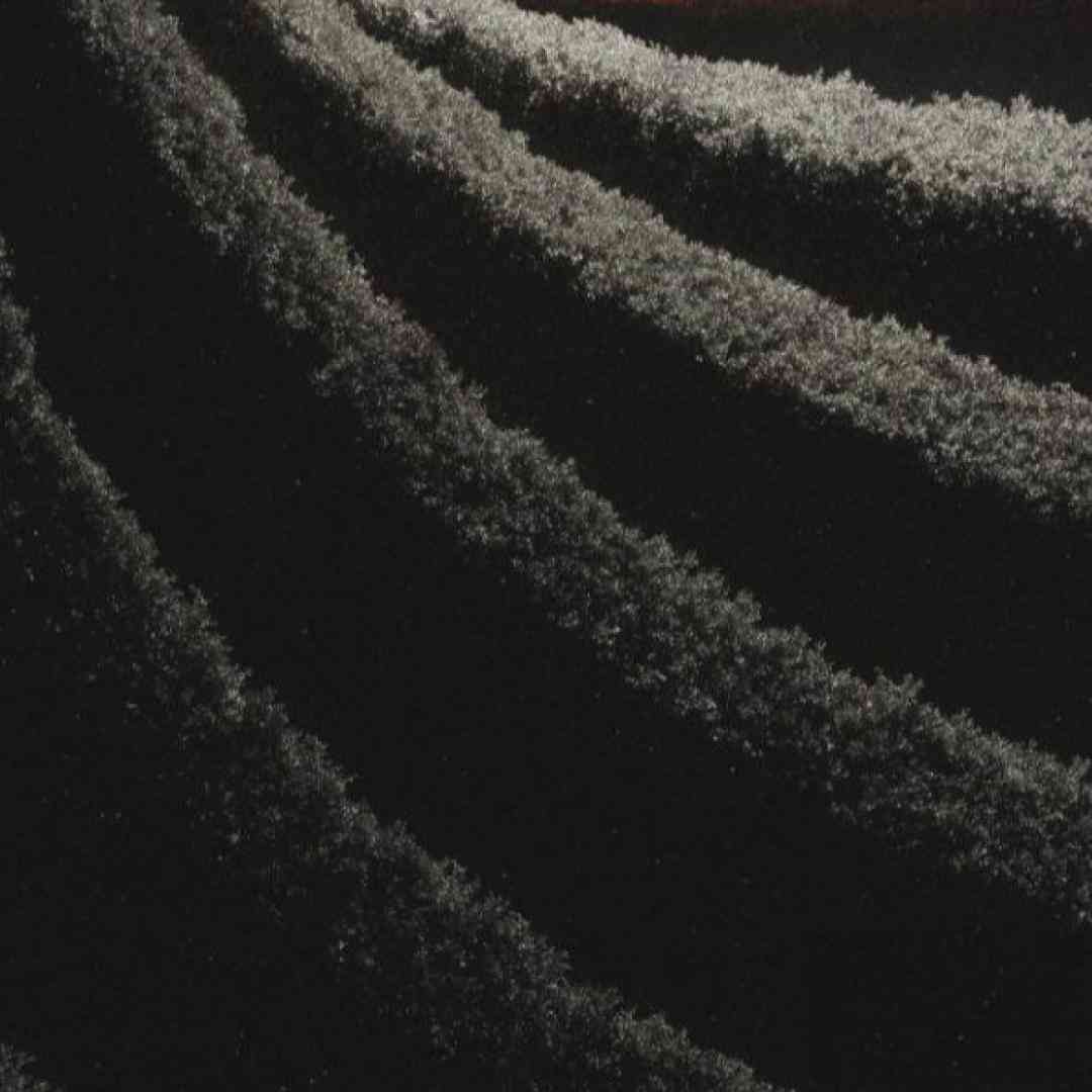  پرتاب شدم از بلندای دوست داشتنت میدونم ولی ای کاش (میکس اینستایی)