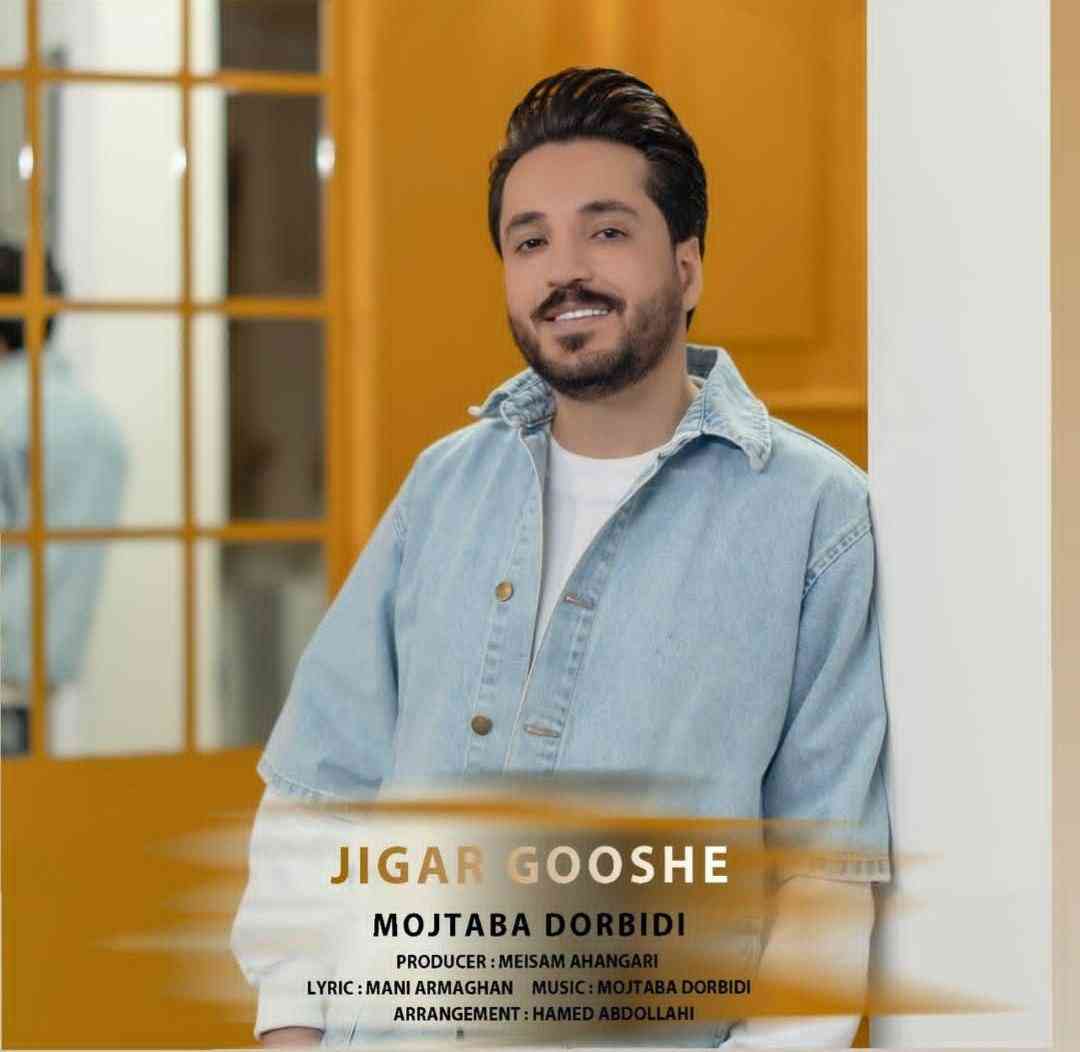 مجتبی دربیدی جیگر گوشه