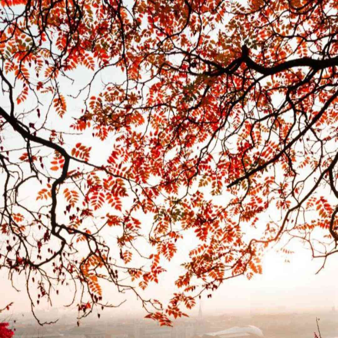  بهشت من تویی میشه آرومم کنی با صدای زن - هوش مصنوعی