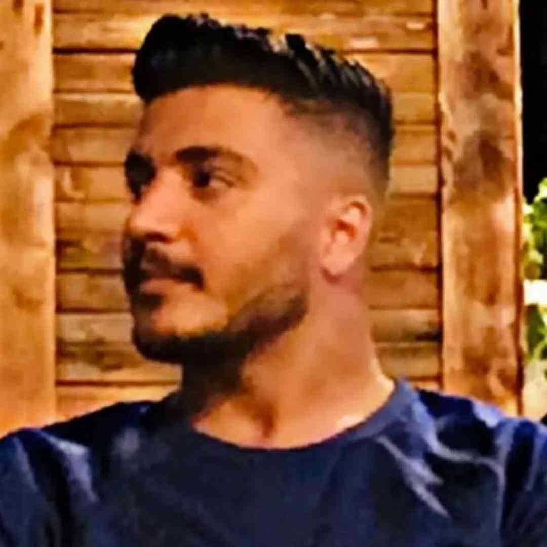 آرمین برمایه مارپیچ