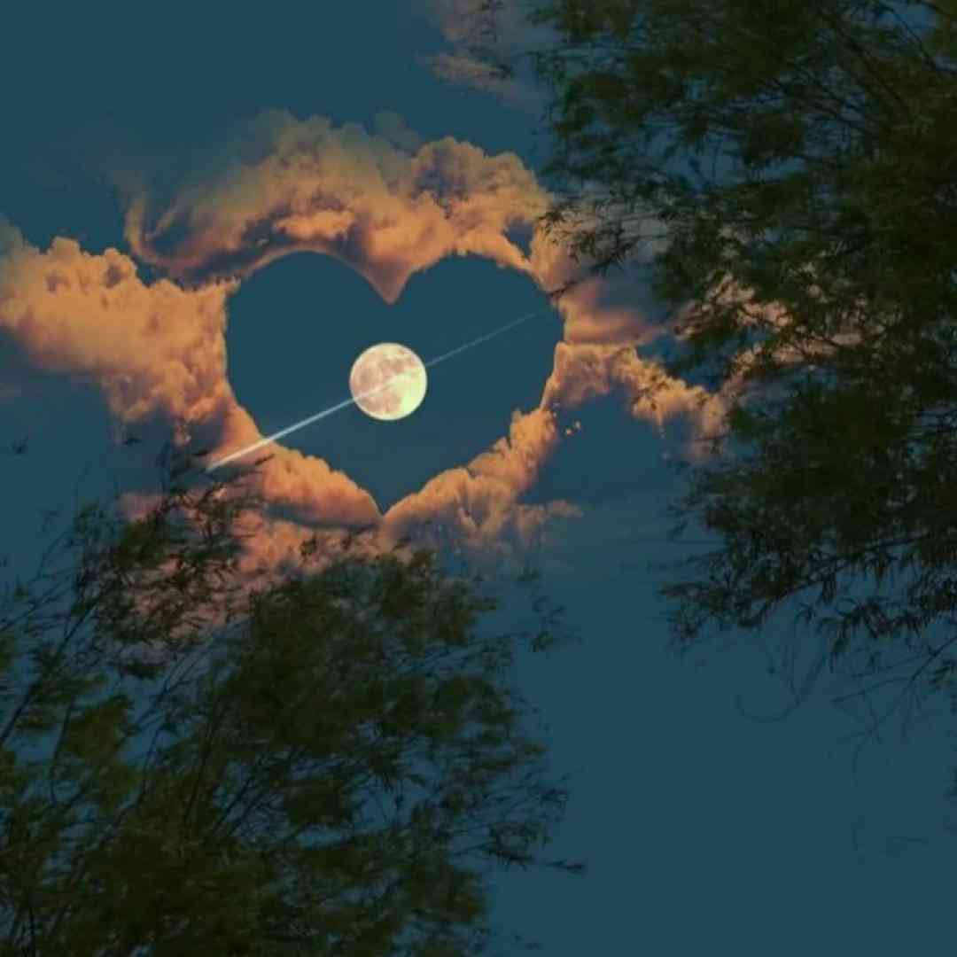  منو بسپار منو بسپار به گذشته نکن انکار