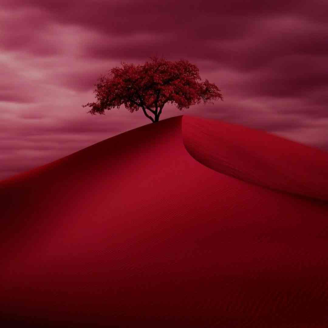  معلومه تو به گایی غرقی دردی دوا نمیشه هرچی تراپی رفتی