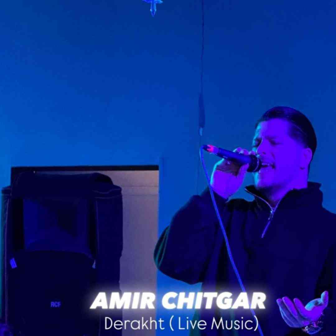 امیر چیتگر درخت