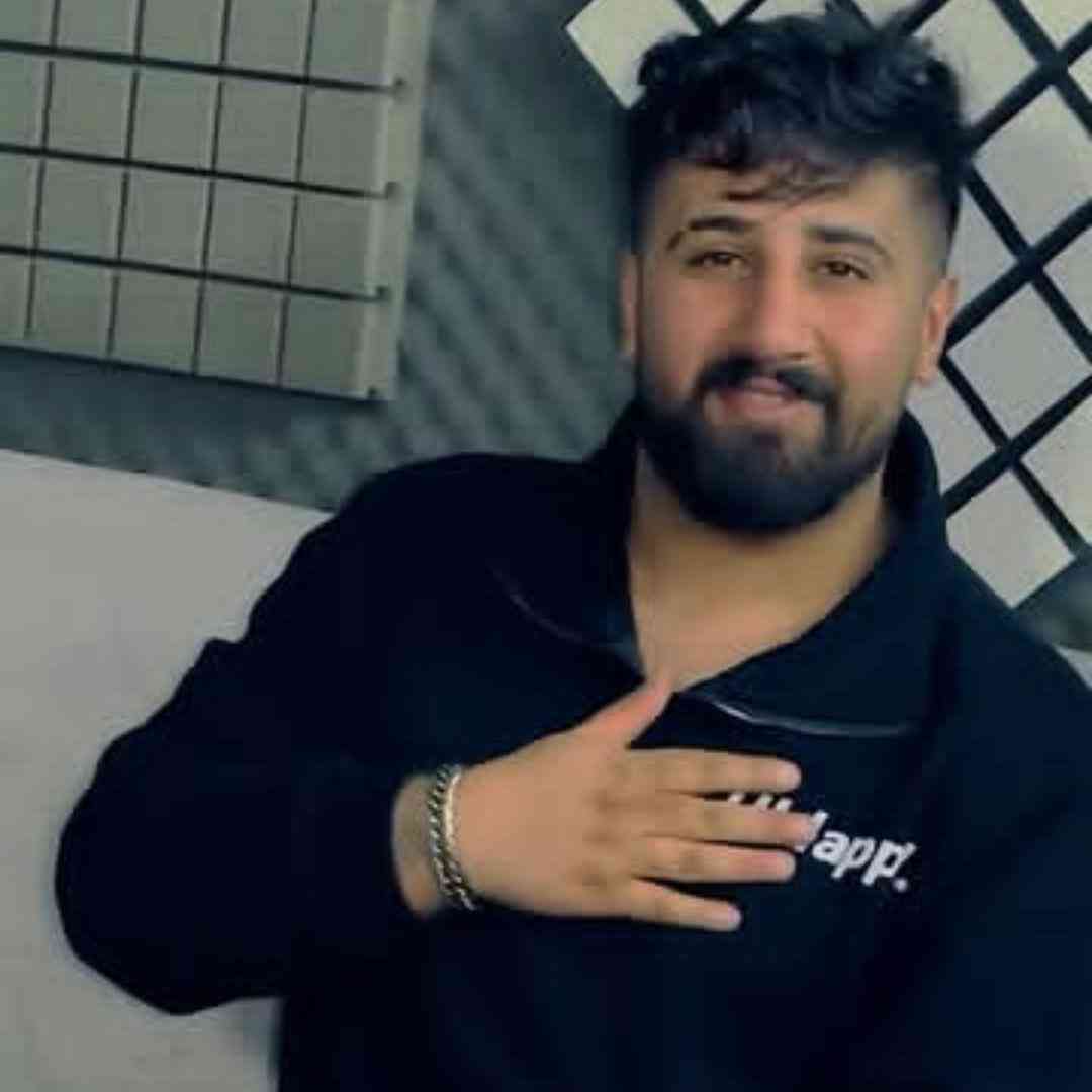 علی حمیدی نشور