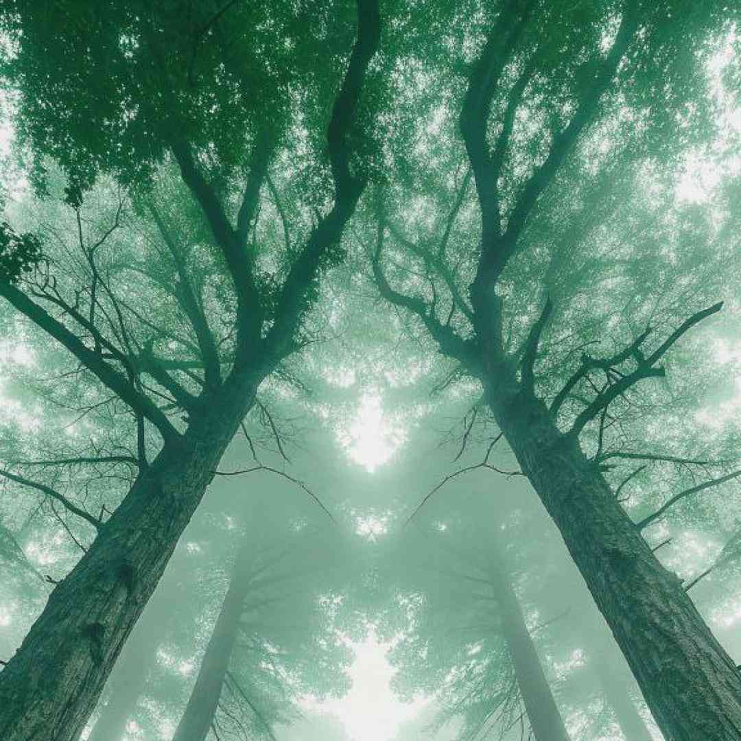 سمیرا کارزان برو برو