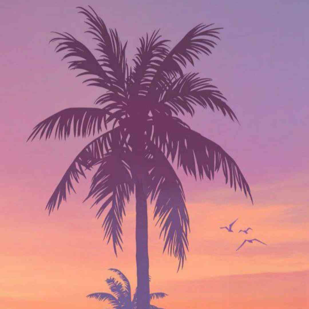  تو‌ خیلی گلی و ما سیگاری تو‌ پیپری و ما جاسیگاری