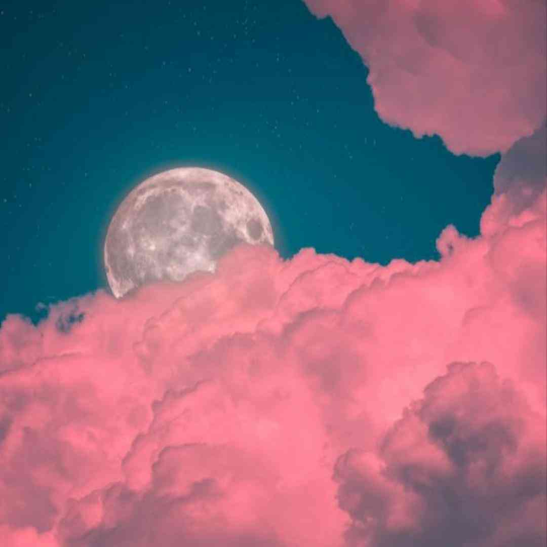  نازنین از وقتی رفتی هم با همیم نیلوفر یادم میاد