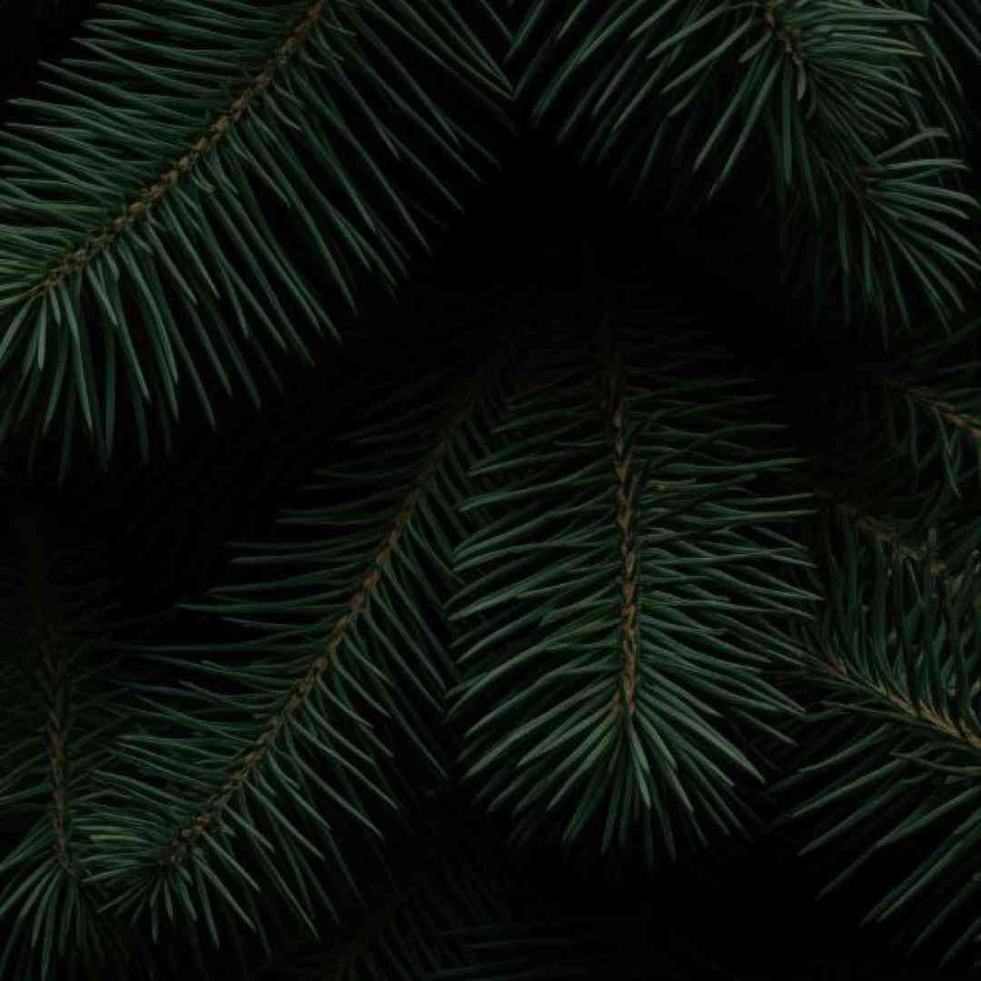 فاطمه مهلبان یاد تو