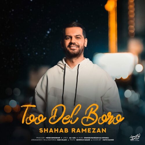 دانلود آهنگ تو دل برو با صدای شهاب رمضان