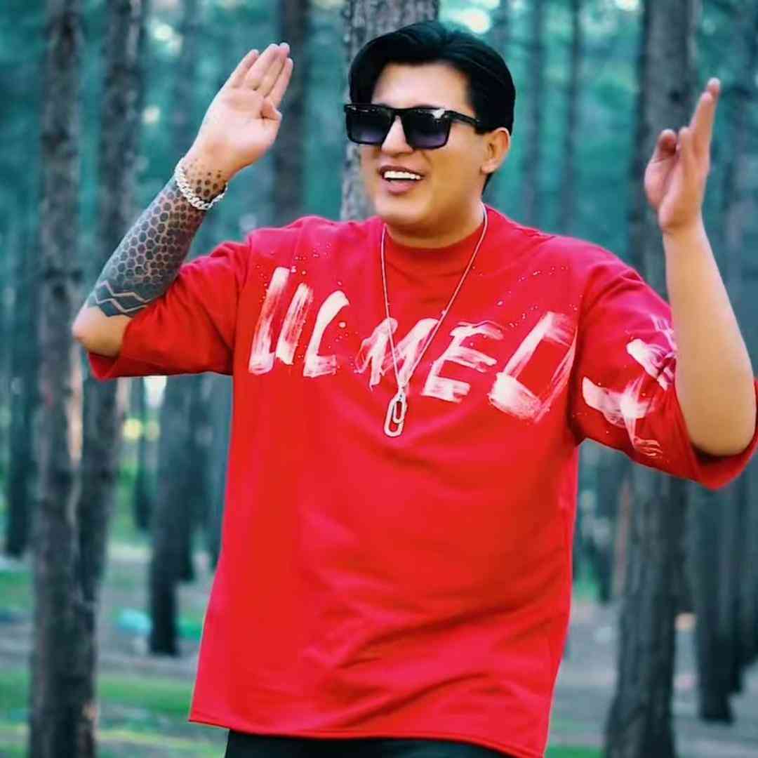 حامد الماسی دوپامین قلبم مسکن دردم
