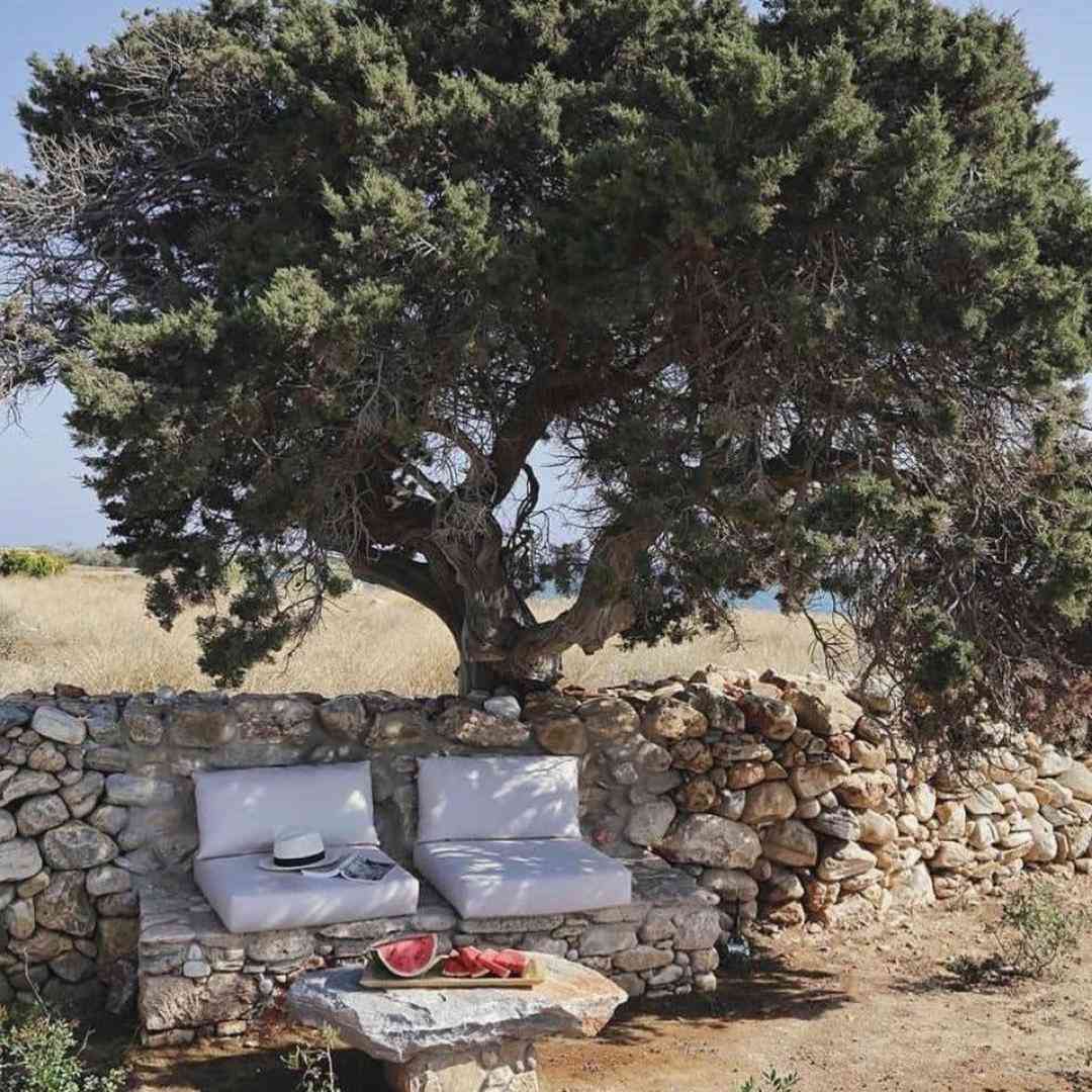 تخم سگ یار ای یار کوله حروم اوف ای یار