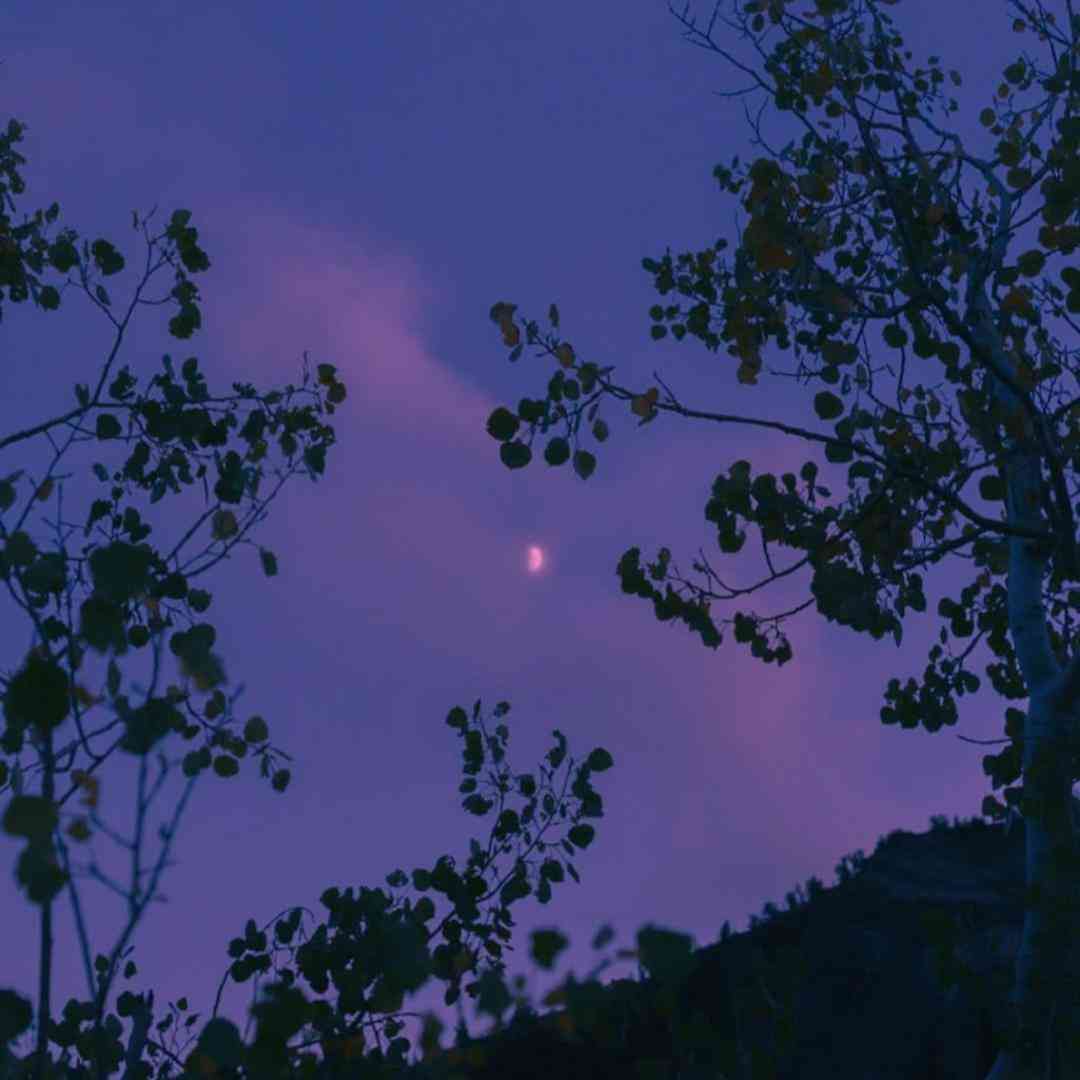 نفسم حبس ندیدم بست درو کی روش