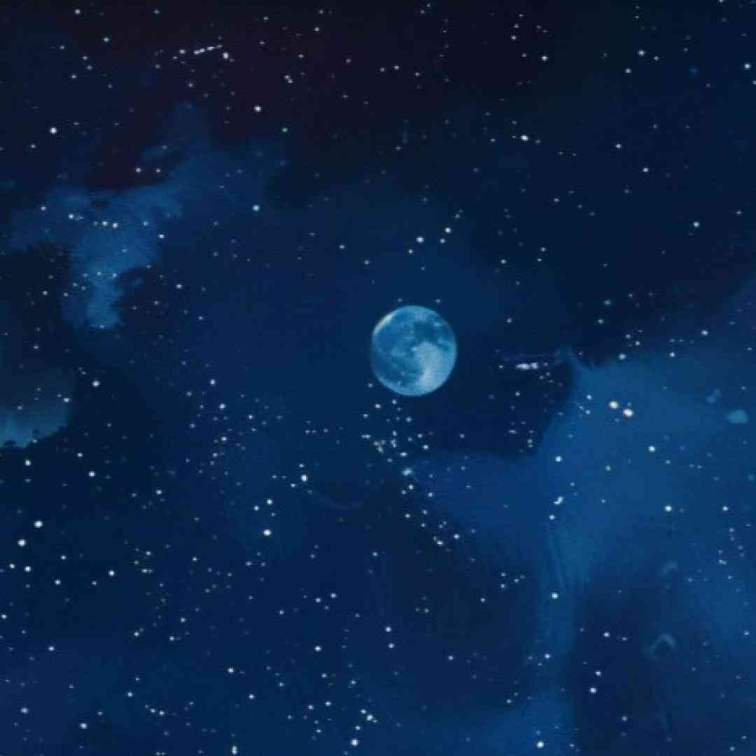  چجوری باور کنم چرا قیدت رو نزدم