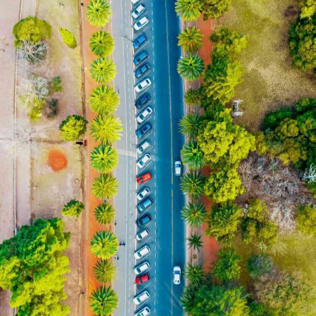  مست پارم هست به یادم خواستی بیاری درم