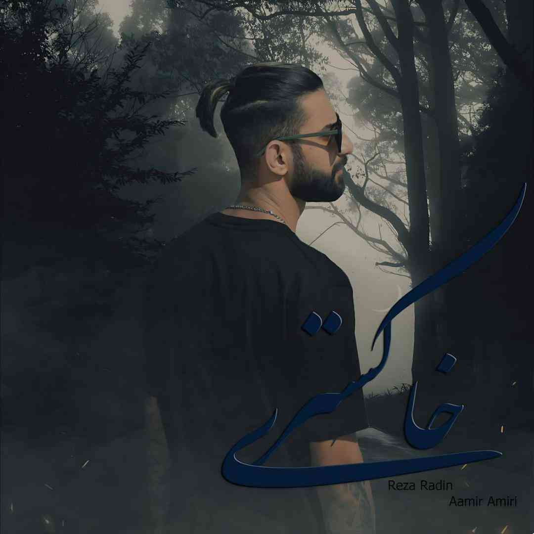رضا رادین خاکستری