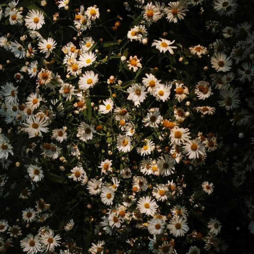  این حس دیگه چیه نمیخورم به درده هم
