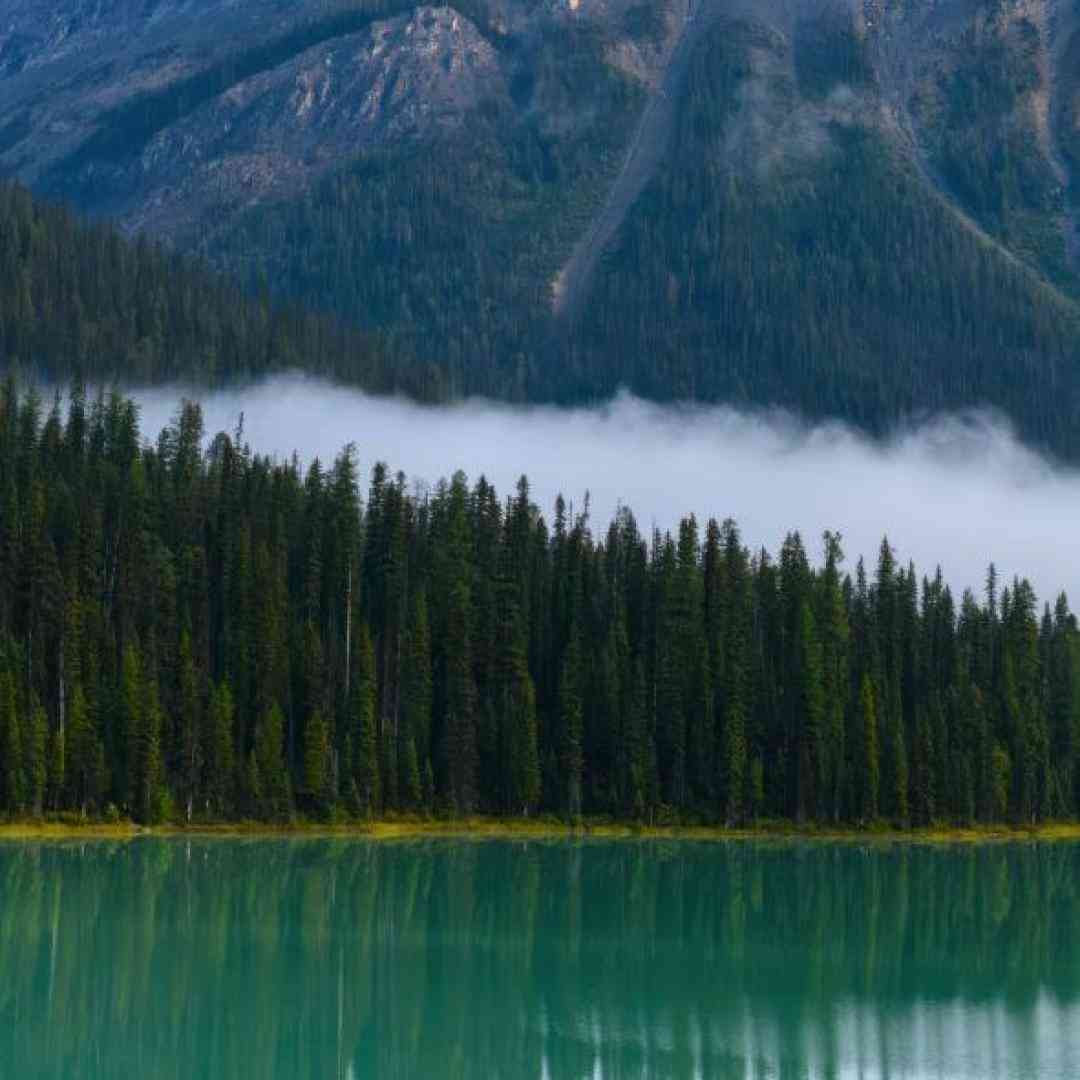  یه تو رگی میخوام یه داشی که همیشه خدا