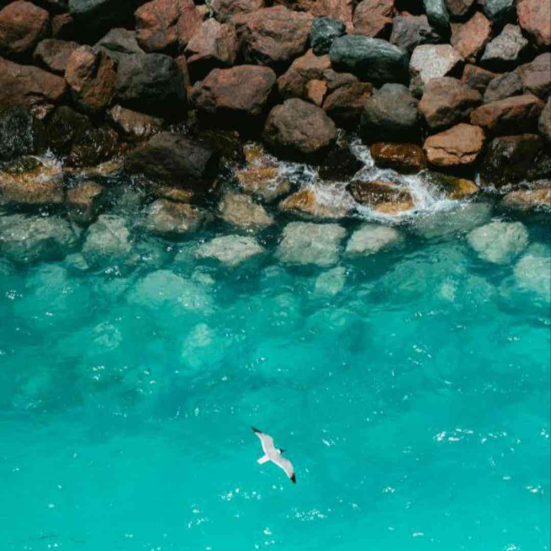  به غیر از این بدون که سرشارو مستم