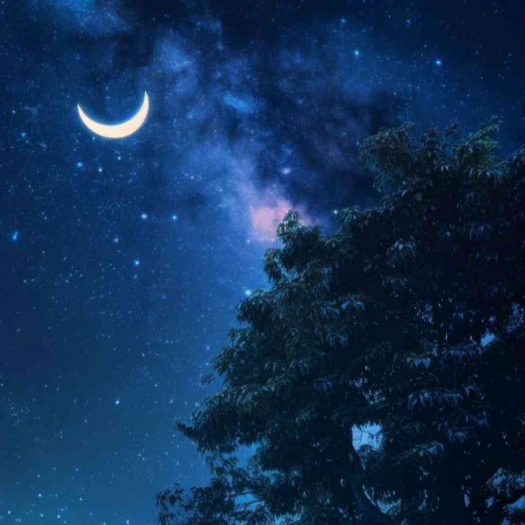  چرا تنها گذاشت منو من که هواشو داشتمو