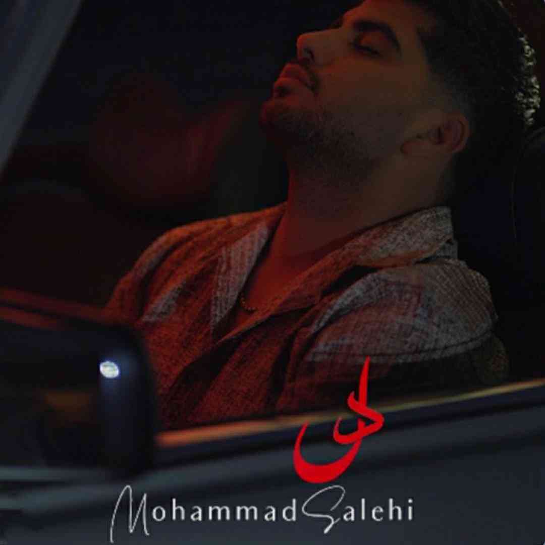 محمد صالحی دل