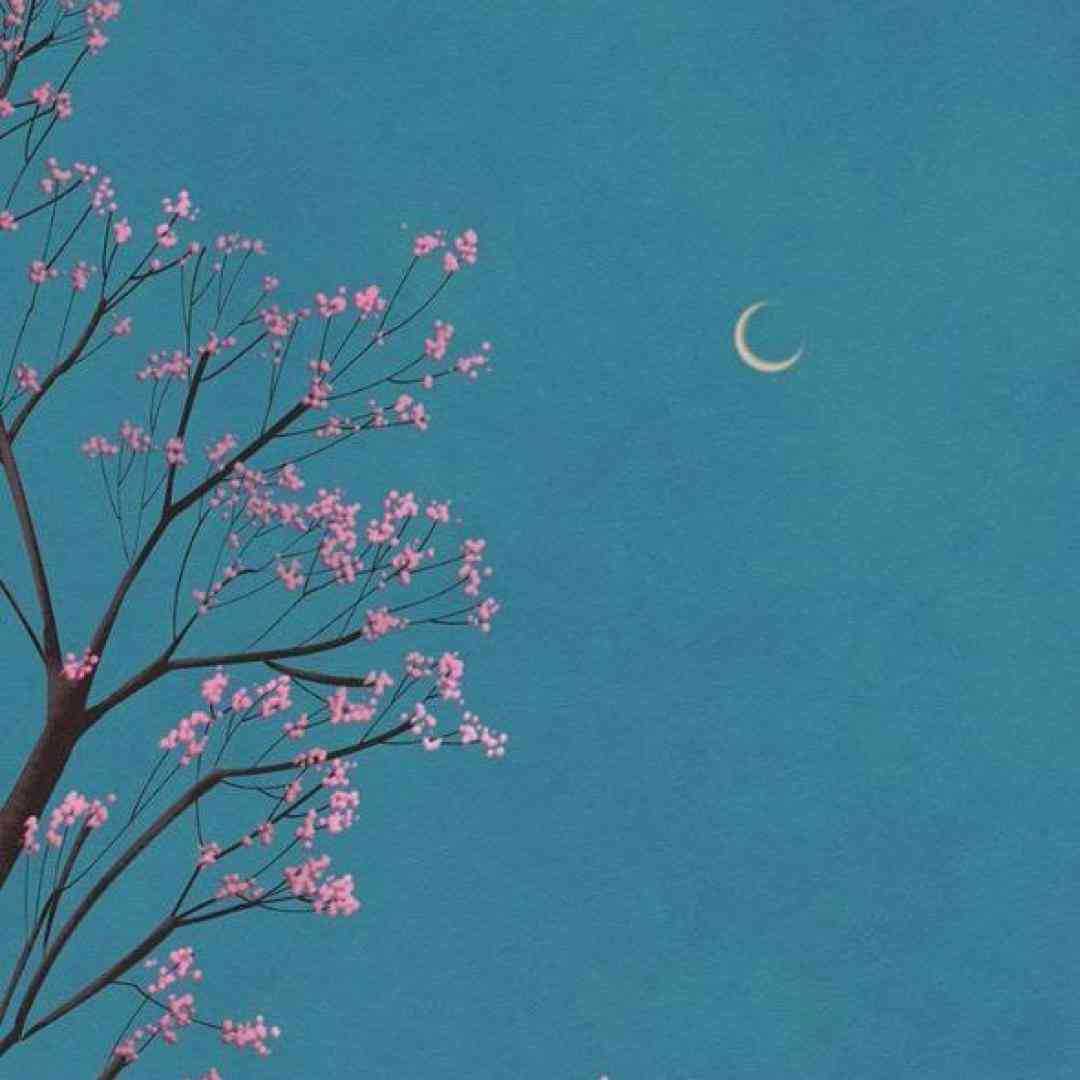  یادمه باهات کلی شب صبح شدن انقد رد دادم (میکس اینستا)