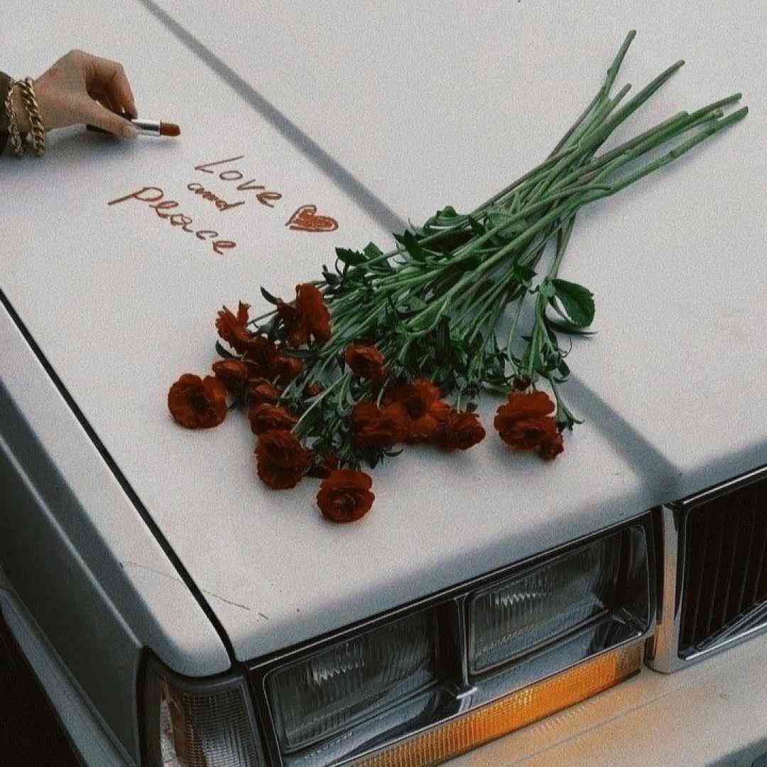 میکنم مو به تن سیخ داش با هر خطم