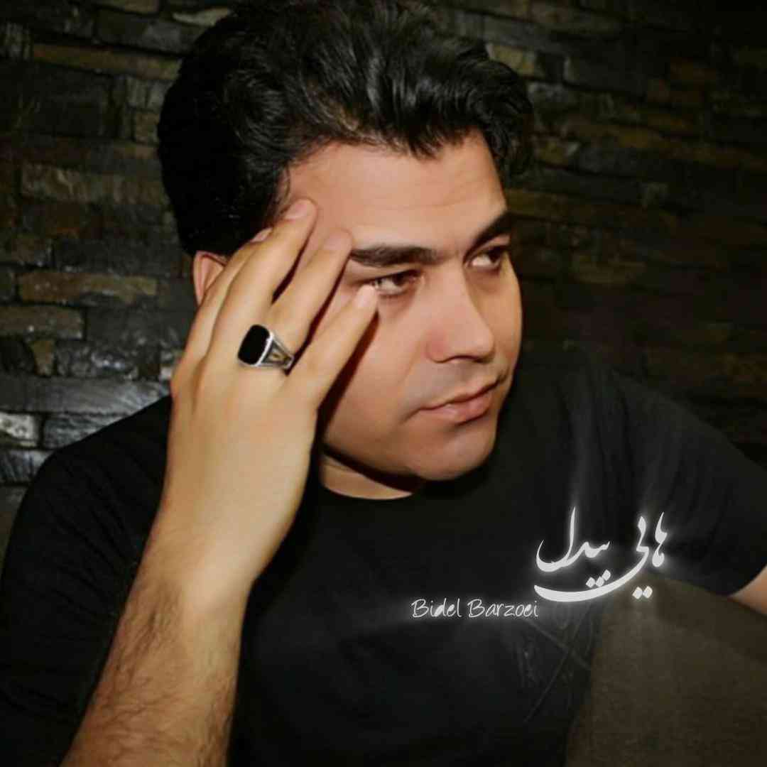 بیدل برزویی هایی بیدل