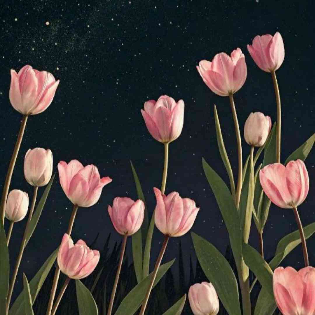  قصه منو غم تو قصه گل و تگرگه خودمو بغل کردم