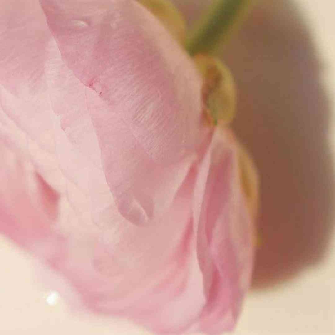  کاش نرسیدن ته همه مسیرا نبود واسه کینه (میکس اینستا)